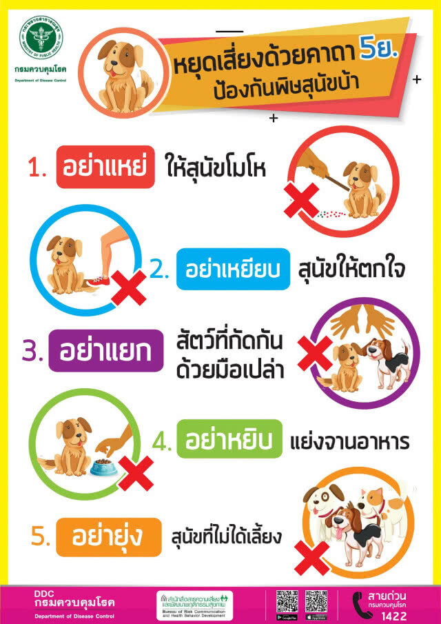 พบผู้เสียชีวิตจากพิษสุนัขบ้ารายแรกของปี