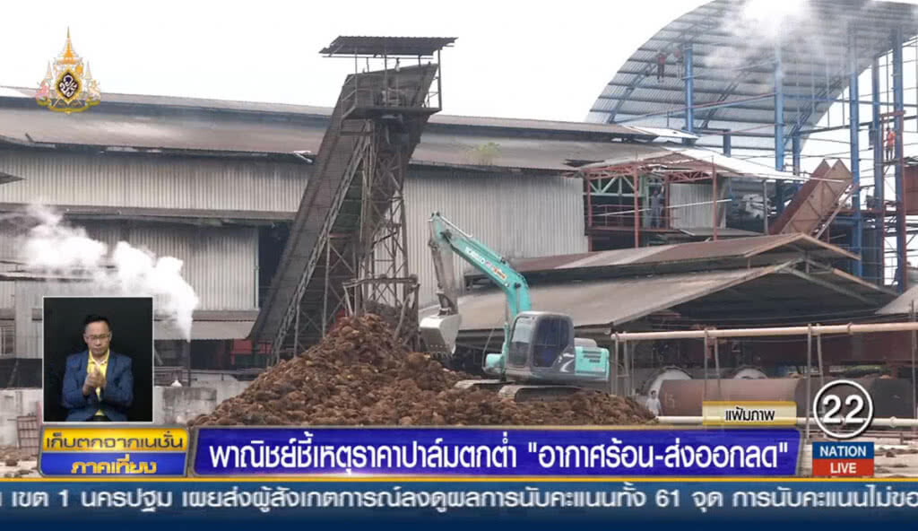 พาณิชย์ชี้เหตุราคาปาล์มตกต่ำ "อากาศร้อน-ส่งออกลด" พาณิชย์ชี้เหตุราคาปาล์มตกต่ำ "อากาศร้อน-ส่งออกลด"