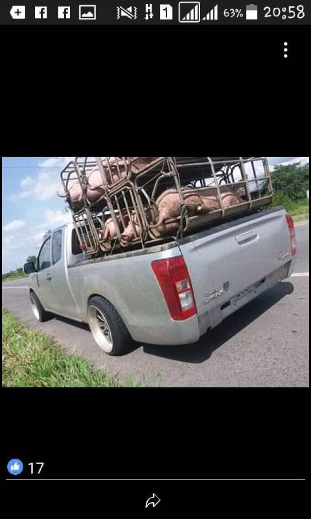โผล่อีกราย! หลอกซื้อหมูจ่ายเงินไม่ครบ ซิ่งรถหนี