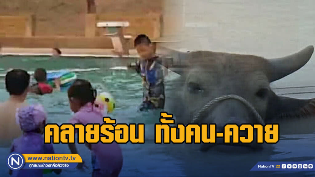 ร้อนจัด!! ทั้งคน-ควาย เล่นน้ำคลายร้อน ร้อนจัด!! ทั้งคน-ควาย เล่นน้ำคลายร้อน