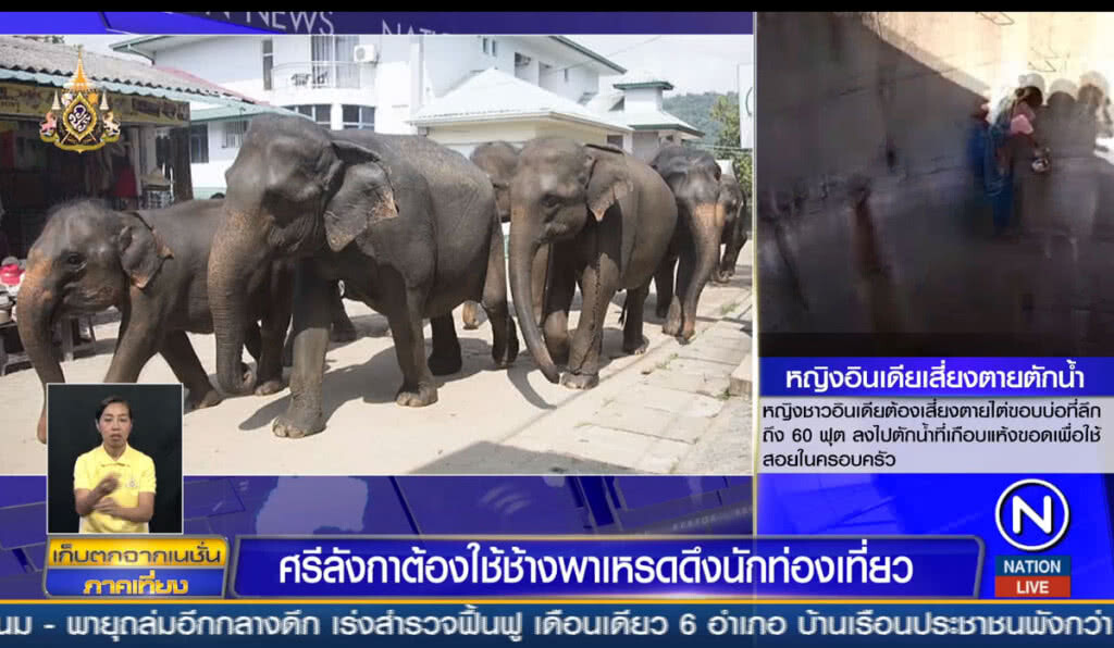 ศรีลังกาต้องใช้ช้างพาเหรดดึงนักท่องเที่ยว