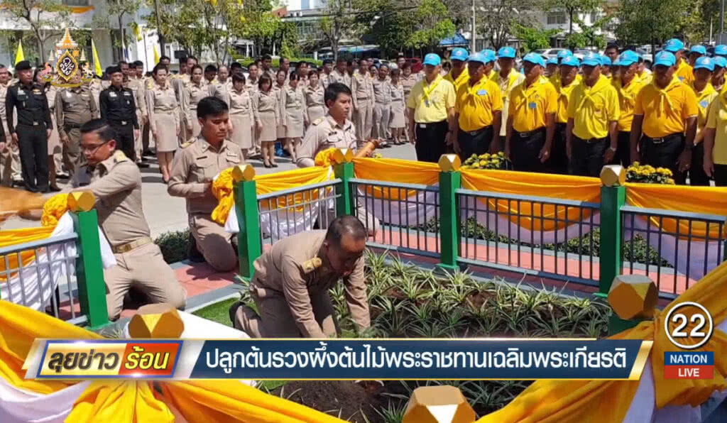 ปลูกต้นรวงผึ้งต้นไม้พระราชทาน เฉลิมพระเกียรติ ร.10