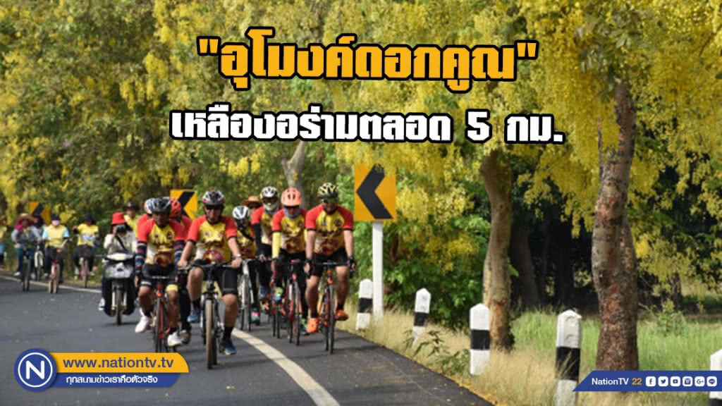 "อุโมงค์ดอกคูณ" ออกดอกเหลืองอร่าม 5 กม.