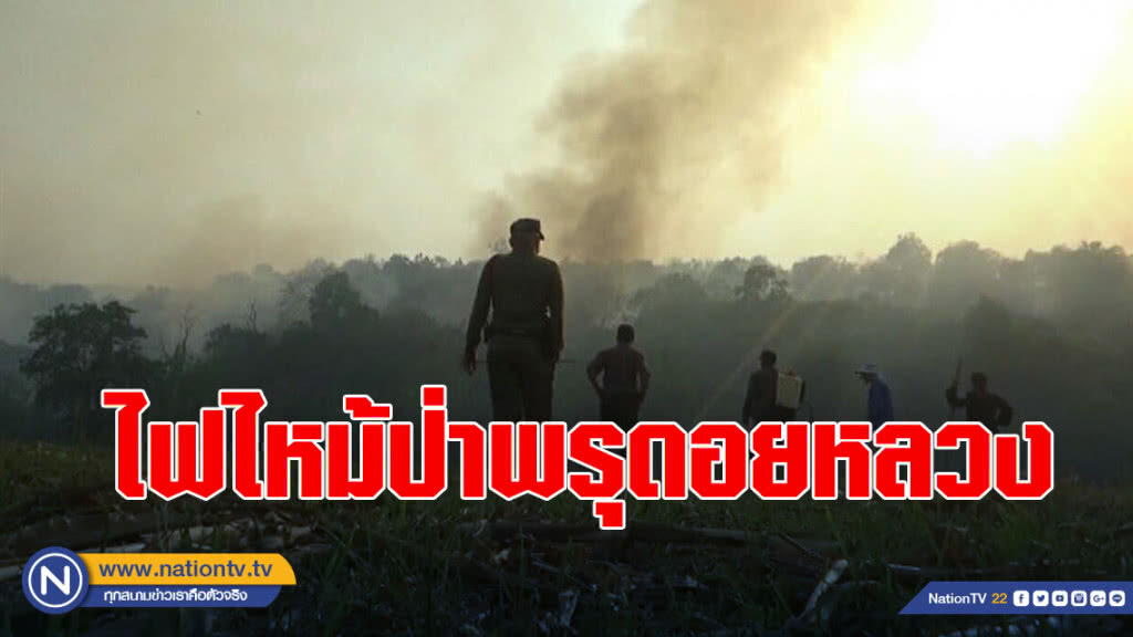 ไฟไหม้ป่าพรุดอยหลวง เจ้าหน้าที่ดับไฟป่าบาดเจ็บ