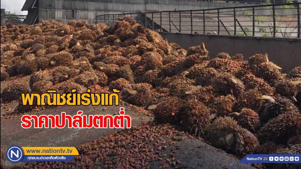 พาณิชย์เร่งแก้ไขปัญหาราคาปาล์มตกต่ำ พาณิชย์เร่งแก้ไขปัญหาราคาปาล์มตกต่ำ