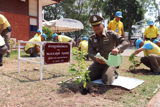 "ผู้ว่าหมูป่า" นำประชาชนนับพันปลูกต้นรวงผึ้ง