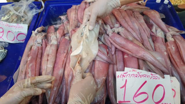 ตรวจตลาดสดมหาชัย พิสูจน์ "หมึกไข่ยัดหิน"