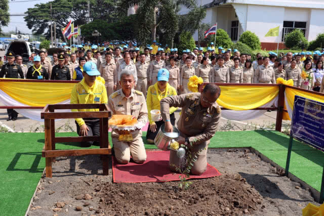 "ผู้ว่าหมูป่า" นำประชาชนนับพันปลูกต้นรวงผึ้ง