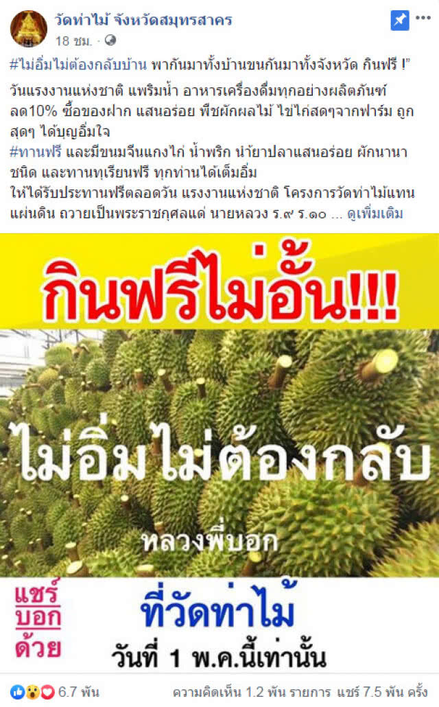กินทุเรียนฟรีไม่อั้น! ที่วัดท่าไม้