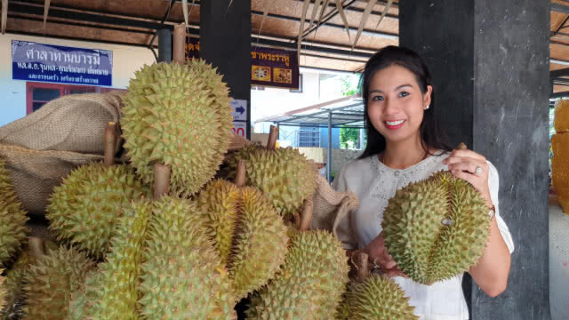 "วัดท่าไม้" ให้กินทุเรียนฟรีไม่อั้น วันแรงงานแห่งชาติ!!