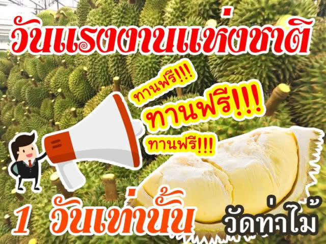 "วัดท่าไม้" ให้กินทุเรียนฟรีไม่อั้น วันแรงงานแห่งชาติ!!