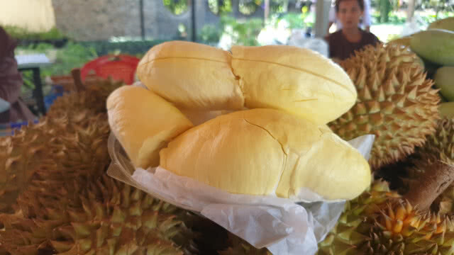 "วัดท่าไม้" ให้กินทุเรียนฟรีไม่อั้น วันแรงงานแห่งชาติ!!