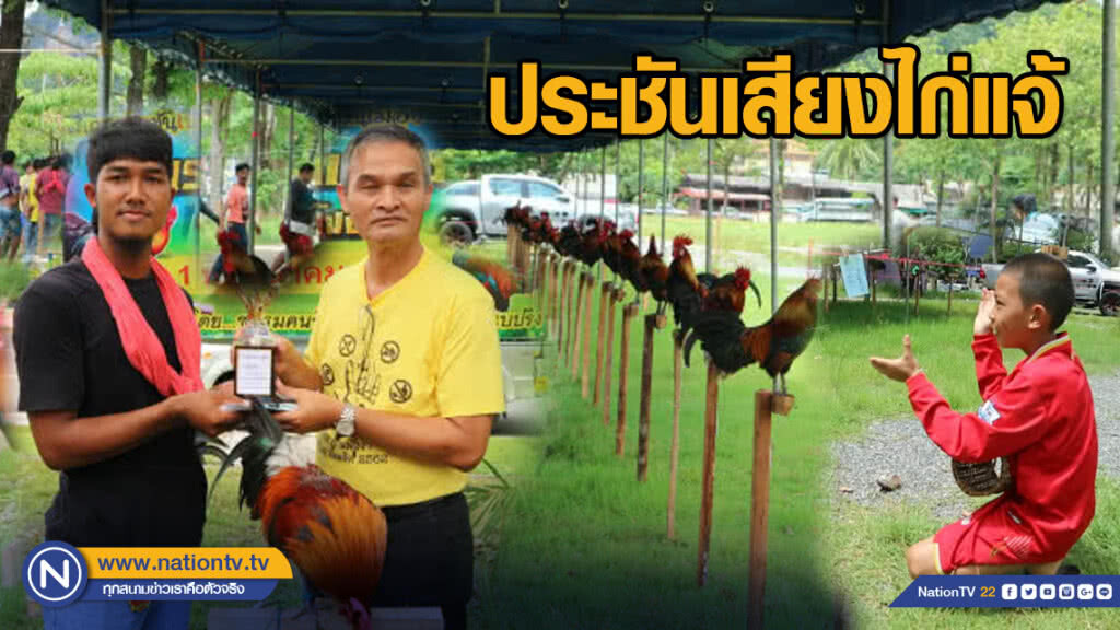 ประชันเสียงไก่แจ้