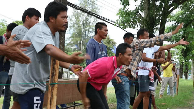 ประชันเสียงไก่แจ้