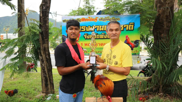 ประชันเสียงไก่แจ้