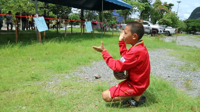 ประชันเสียงไก่แจ้