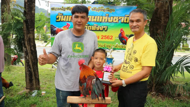 ประชันเสียงไก่แจ้