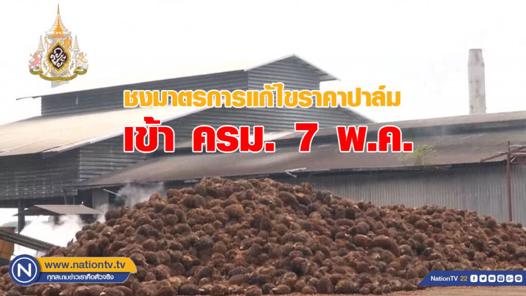 ชงมาตรการแก้ไขราคาปาล์มเข้า ครม. 7 พ.ค. ชงมาตรการแก้ไขราคาปาล์มเข้า ครม. 7 พ.ค.