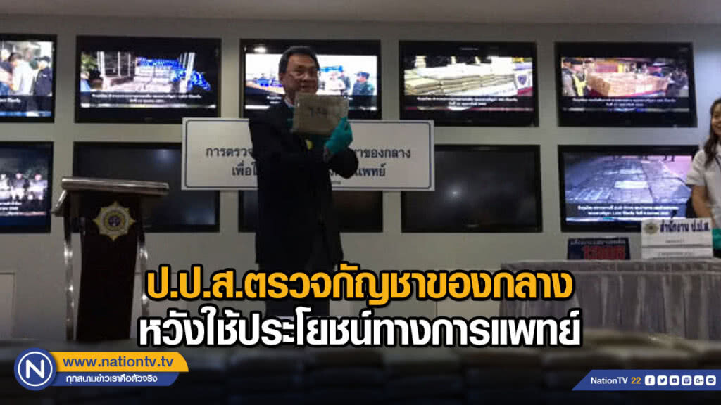 ป.ป.ส.ตรวจกัญชาของกลางหวังใช้ประโยชน์ทางการแพทย์ ป.ป.ส.ตรวจกัญชาของกลางหวังใช้ประโยชน์ทางการแพทย์