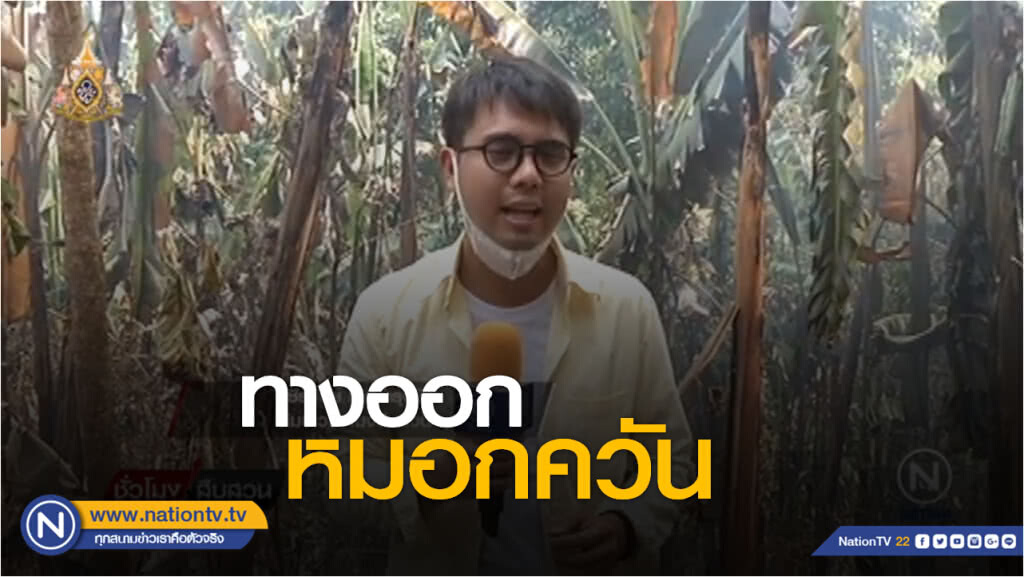 รักโลก by วชิรวิทย์ | ทางออกหมอกควัน