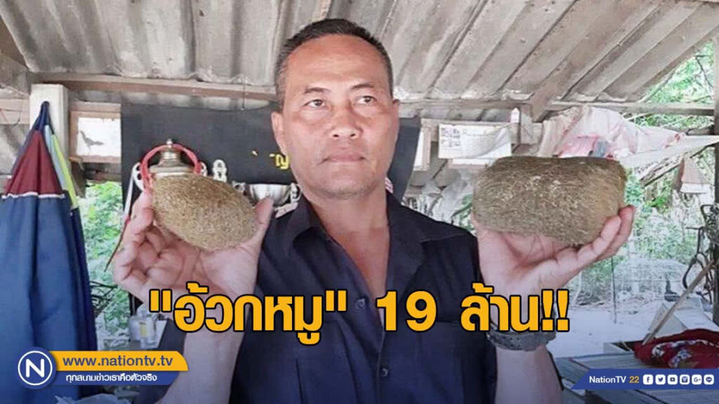 พบก้อนไยไหมในถุงน้ำดีหมู คาดเป็น "อ้วกหมู" มูลค่า 19 ล้าน พบก้อนไยไหมในถุงน้ำดีหมู คาดเป็น "อ้วกหมู" มูลค่า 19 ล้าน