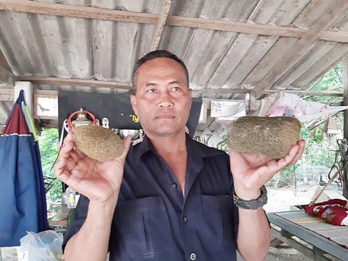 พบก้อนไยไหมในถุงน้ำดีหมู คาดเป็น "อ้วกหมู" มูลค่า 19 ล้าน