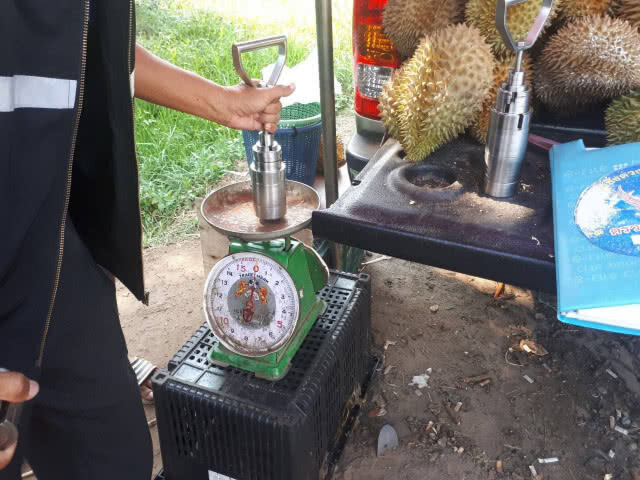 พาณิชย์ลุยจับโกงเครื่องชั่งซื้อขายผลไม้