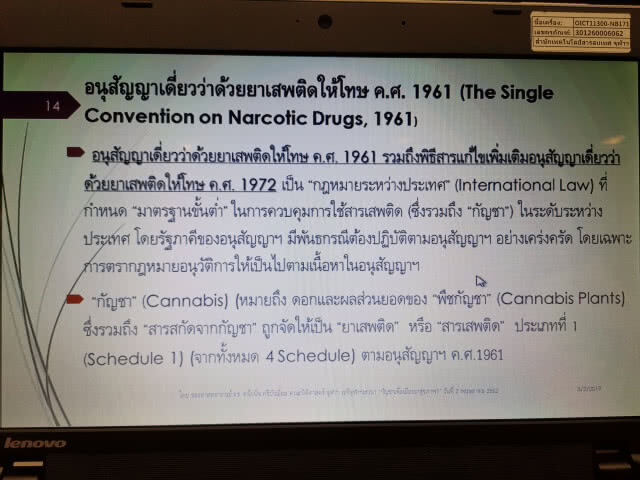 เตือน! อย่าใช้กัญชาอย่างงมงาย​ นักกฎหมายชี้เปิดเสรีไม่ง่าย​ ติดอนุสัญญาระหว่างประเทศ