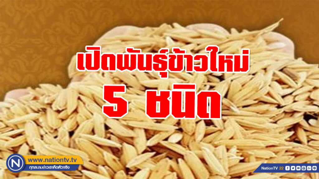 'กรมการข้าว' เปิดพันธุ์ข้าว 5 พันธุ์ใหม่ เฉลิมพระเกียรติ ร.10