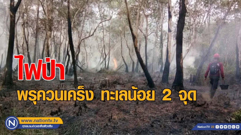 เกิดไฟป่าพรุควนเคร็ง ทะเลน้อย 2 จุด เจ้าหน้าที่ควบคุมไฟได้สำเร็จ พบเสียหายรวม 12 ไร่