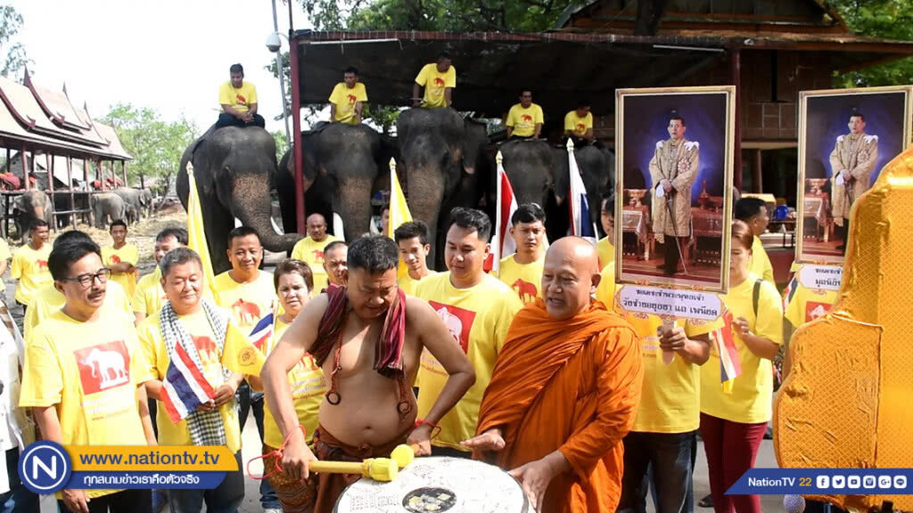 มูลนิธิพระคชบาลเตรียมนำช้าง 11 เชือก จัดขบวนเทิดพระเกียรติคชสารคู่แผ่นดินเทิดไท้องค์ราชัน มูลนิธิพระคชบาลเตรียมนำช้าง 11 เชือก จัดขบวนเทิดพระเกียรติคชสารคู่แผ่นดินเทิดไท้องค์ราชัน