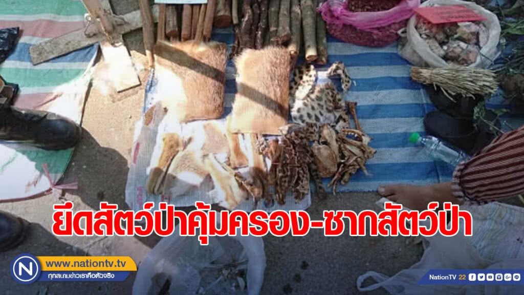 ยึดสัตว์ป่าคุ้มครองและซากสัตว์ป่ารวม 2 คดี! จุดผ่อนปรนการค้าชายแดนไทย-ลาว บ้านเปงจาน