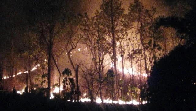 ไฟป่าลามหวิดไหม้ศาลเจ้าแม่กวนอิมชื่อดัง