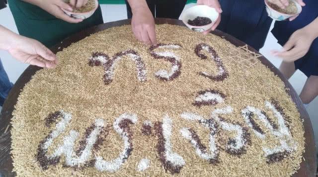 เรียงเมล็ดข้าวเป็นพระบรมรูปฉายาลักษณ์  ร.10