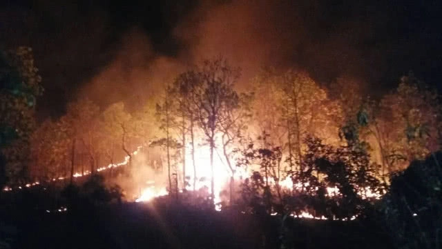 ไฟป่าลามหวิดไหม้ศาลเจ้าแม่กวนอิมชื่อดัง