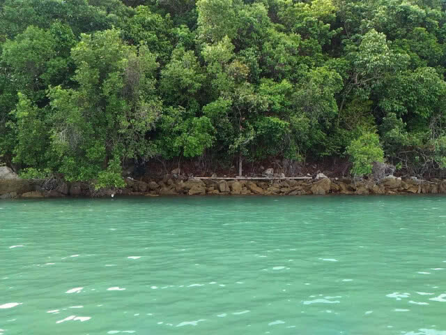 ️จนท. ส่งเสบียงลิงแสม - ลิงกัง ที่เกาะปายู พบอ้วนท้วนสมบูรณ์ดี