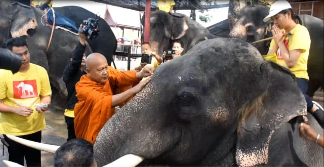 ขบวนเทิดพระเกียรติคชสารคู่แผ่นดิน เทิดไท้องค์ราชัน