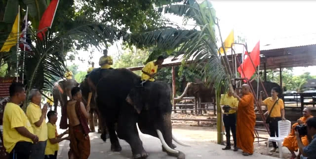 ขบวนเทิดพระเกียรติคชสารคู่แผ่นดิน เทิดไท้องค์ราชัน