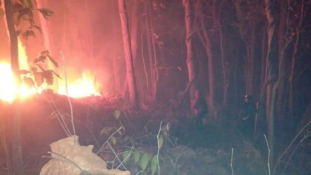 ไฟป่าลามหวิดไหม้ศาลเจ้าแม่กวนอิมชื่อดัง