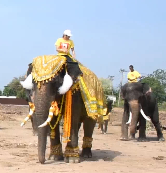 ขบวนเทิดพระเกียรติคชสารคู่แผ่นดิน เทิดไท้องค์ราชัน
