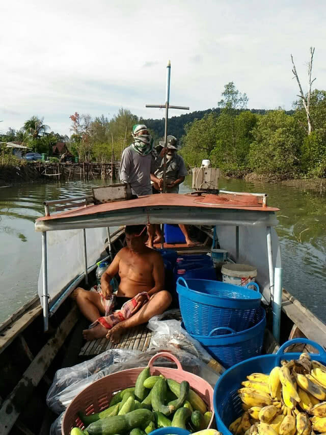 ️จนท. ส่งเสบียงลิงแสม - ลิงกัง ที่เกาะปายู พบอ้วนท้วนสมบูรณ์ดี