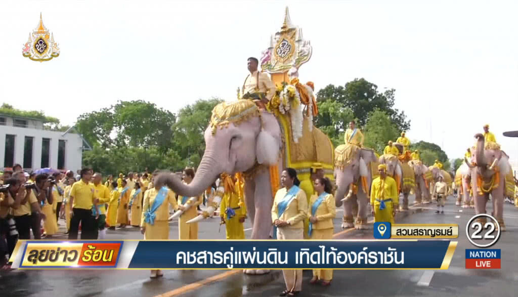 คชสารคู่แผ่นดิน เทิดไท้องค์ราชัน คชสารคู่แผ่นดิน เทิดไท้องค์ราชัน