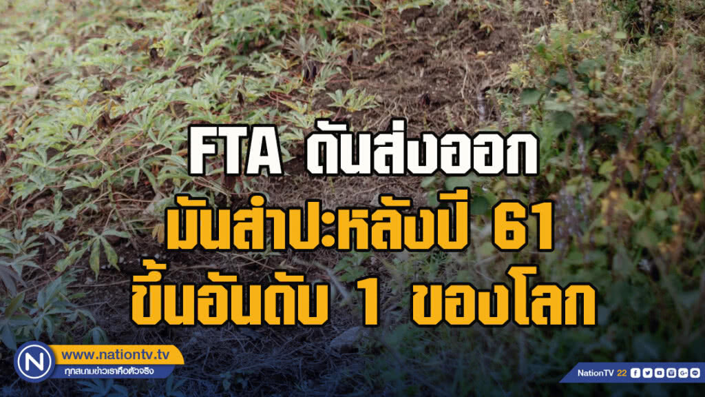พาณิชย์เผย FTA ดันส่งออกมันสำปะหลังปี 61 ขึ้นอันดับ 1 ของโลก