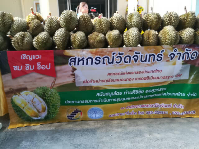 สหกรณ์วัดจันทร์ ขายทุเรียนเกรดพรีเมียม ช่วยเกษตรกรระยอง 3 ตัน