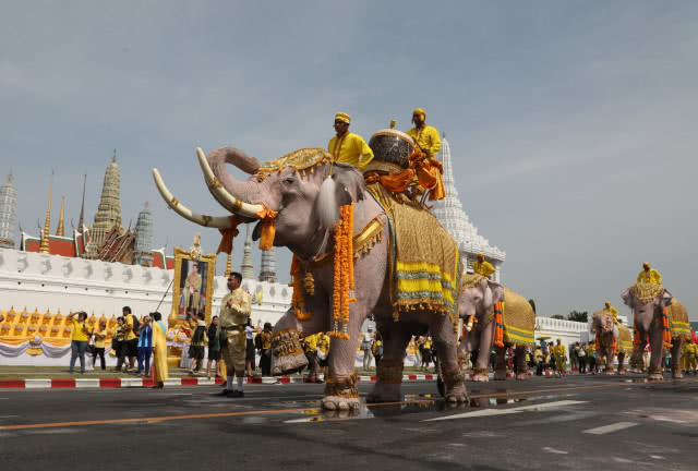 เฉลิมพระเกียรติร.10 \"คชสารคู่แผ่นดิน เทิดไท้องค์ราชันย์\"