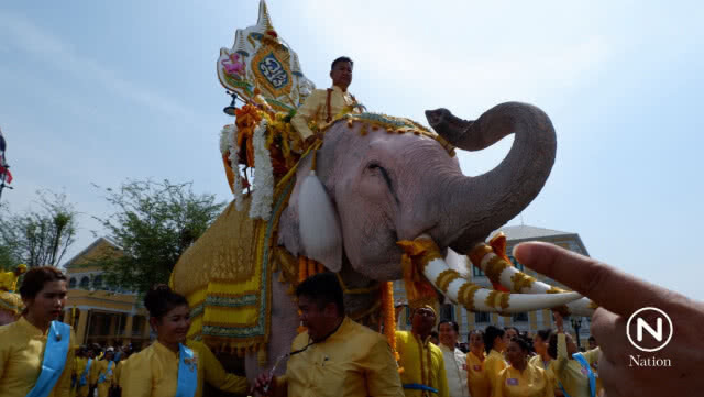 "คชสารคู่แผ่นดิน เทิดไท้องค์ราชันย์"