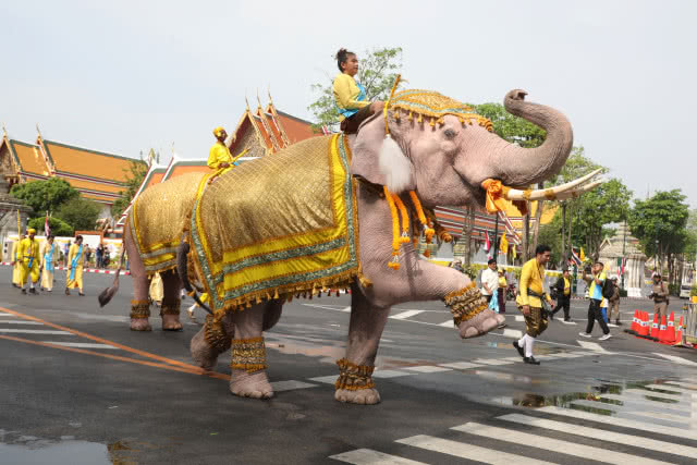 เฉลิมพระเกียรติร.10 \"คชสารคู่แผ่นดิน เทิดไท้องค์ราชันย์\"