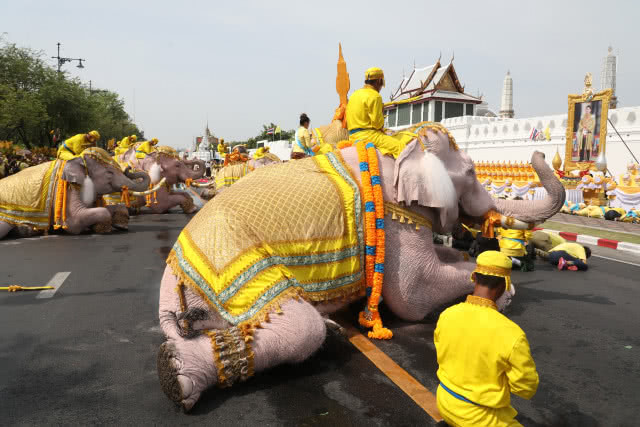 เฉลิมพระเกียรติร.10 \"คชสารคู่แผ่นดิน เทิดไท้องค์ราชันย์\"