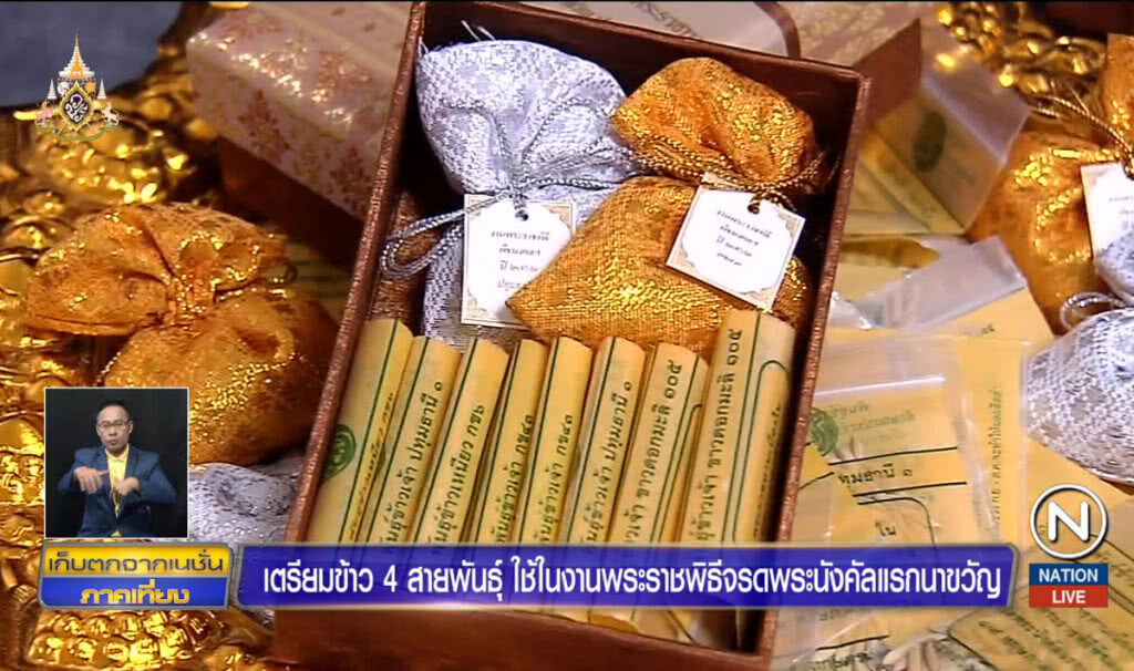 "กรมการข้าว" เตรียมพันธุ์ข้าว 4 สายพันธุ์ ใช้ในงานพระราชพิธีจรดพระนังคัลแรกนาขวัญ