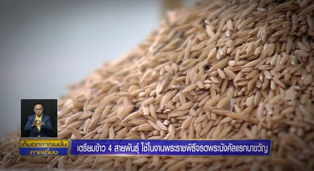 เก็บตกเที่ยงช่วงที่ 1 08-05-62 เก็บตกเที่ยงช่วงที่ 1 08-05-62